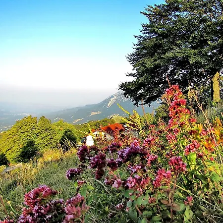 Couette-café Sinji Vrh *