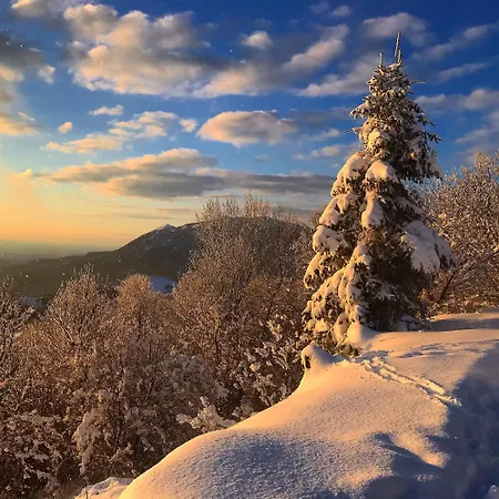 Sinji Vrh Couette-café Zoll