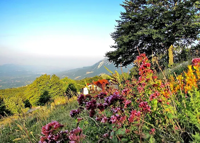 Bed & Breakfast Sinji Vrh *