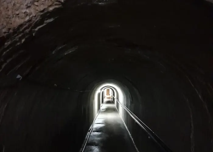 Sinji Vrh Bed & Breakfast *